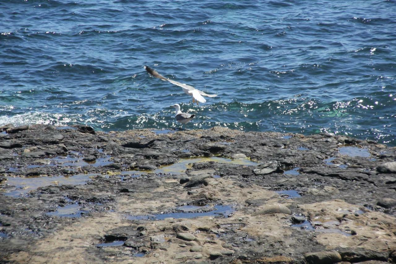 Seagull Estudios Pozo Izquierdo Dış mekan fotoğraf